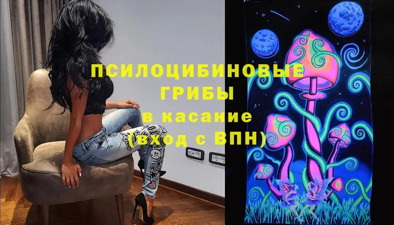 Галлюциногенные грибы Psilocybe  Ардон 